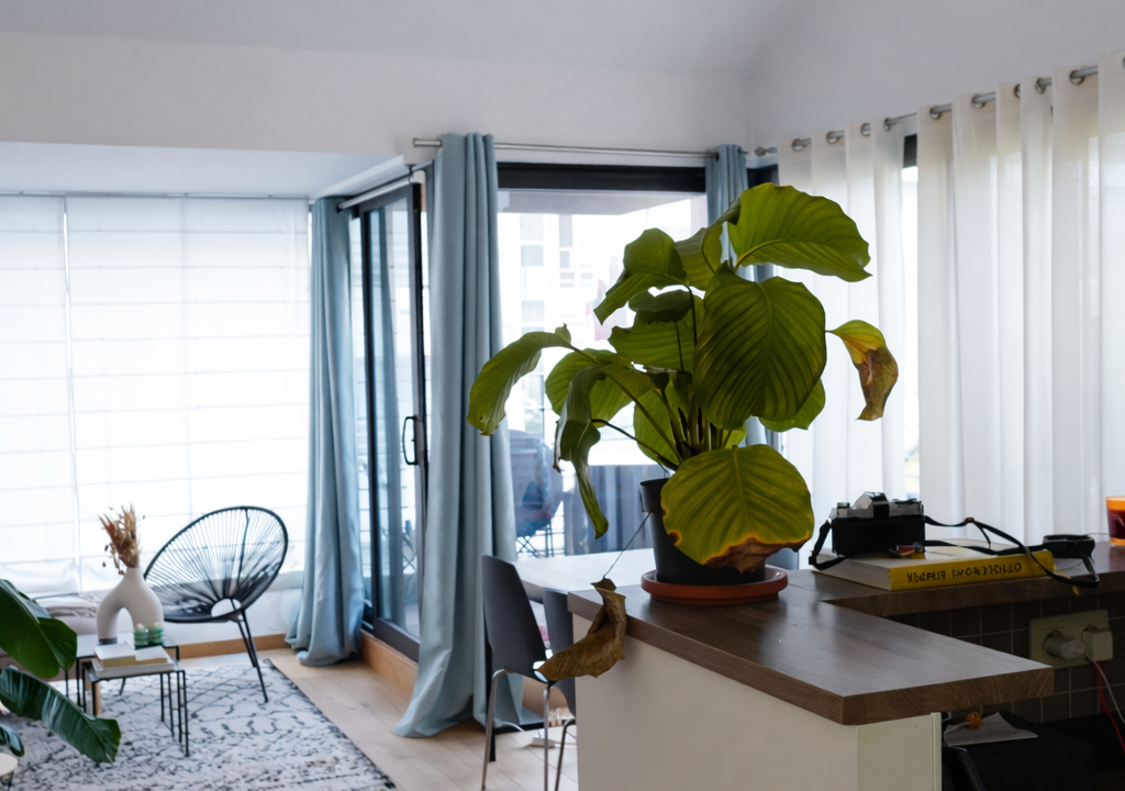 60AC7C02-4399-43EA-BBDB-0D893DFF08B3